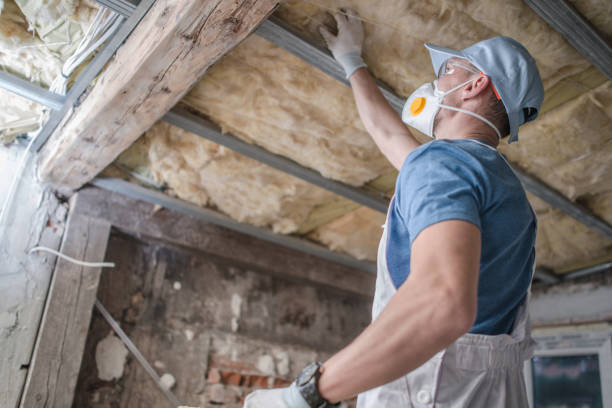 Best Residential Insulation in Embreeville, TN