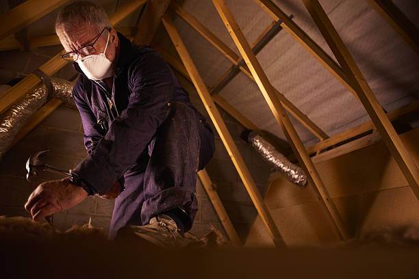 Best Types of Insulation in Embreeville, TN